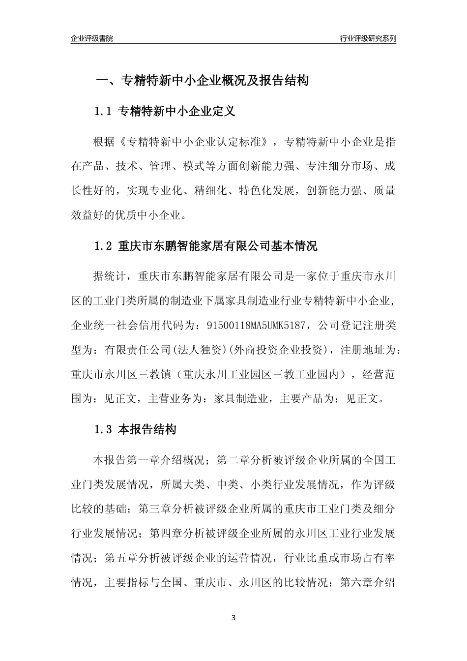 [专精特新]重庆市东鹏智能家居有限公司行业竞争力评级分析报告(2023版)_第3页