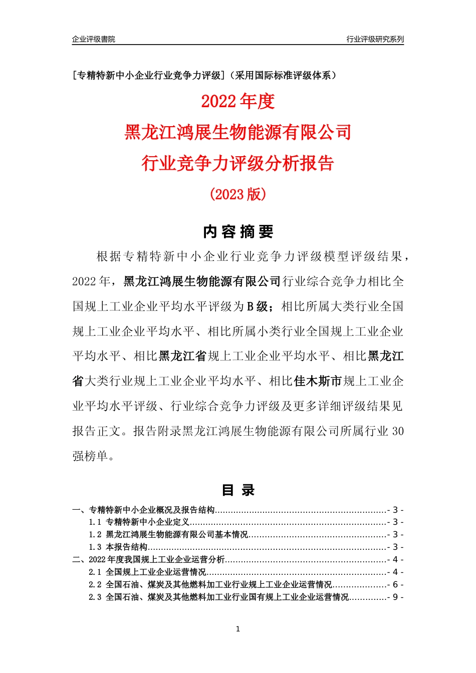 [专精特新]黑龙江鸿展生物能源有限公司行业竞争力评级分析报告(2023版)_第1页