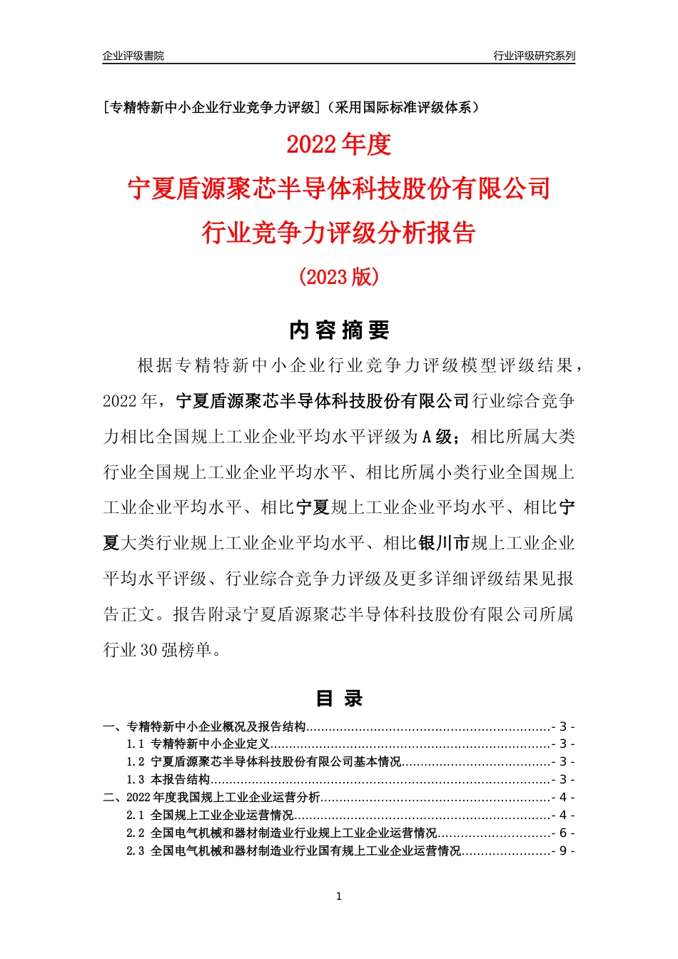 [专精特新]宁夏盾源聚芯半导体科技股份有限公司行业竞争力评级分析报告(2023版)_第1页