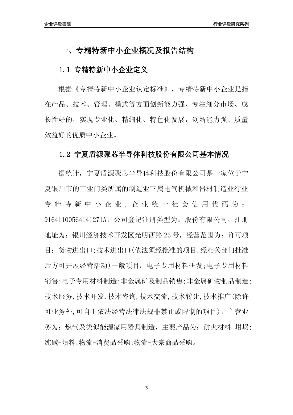 [专精特新]宁夏盾源聚芯半导体科技股份有限公司行业竞争力评级分析报告(2023版)_第3页