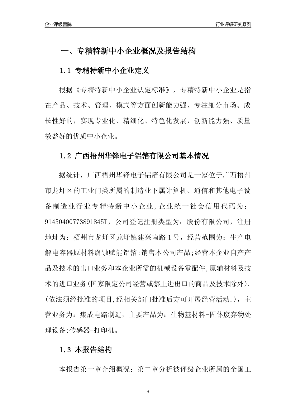 [专精特新]广西梧州华锋电子铝箔有限公司行业竞争力评级分析报告(2023版)_第3页