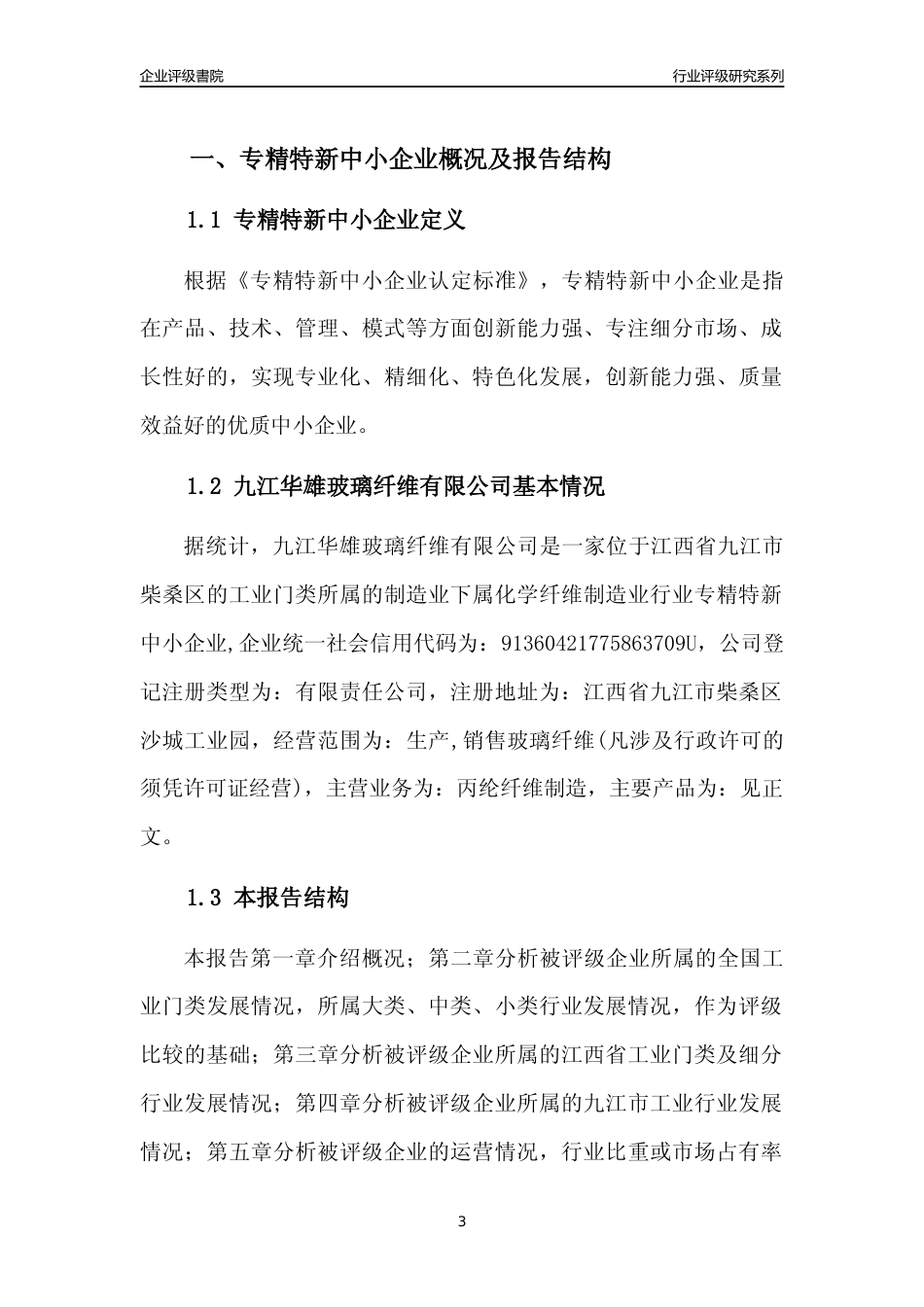 [专精特新]九江华雄玻璃纤维有限公司行业竞争力评级分析报告(2023版)_第3页