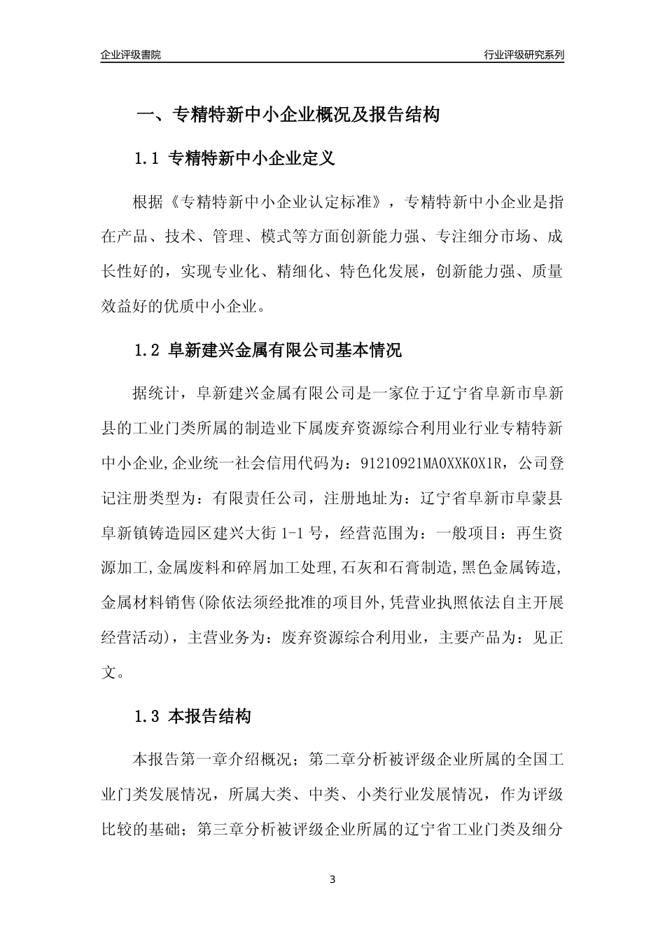 [专精特新]阜新建兴金属有限公司行业竞争力评级分析报告(2023版)_第3页