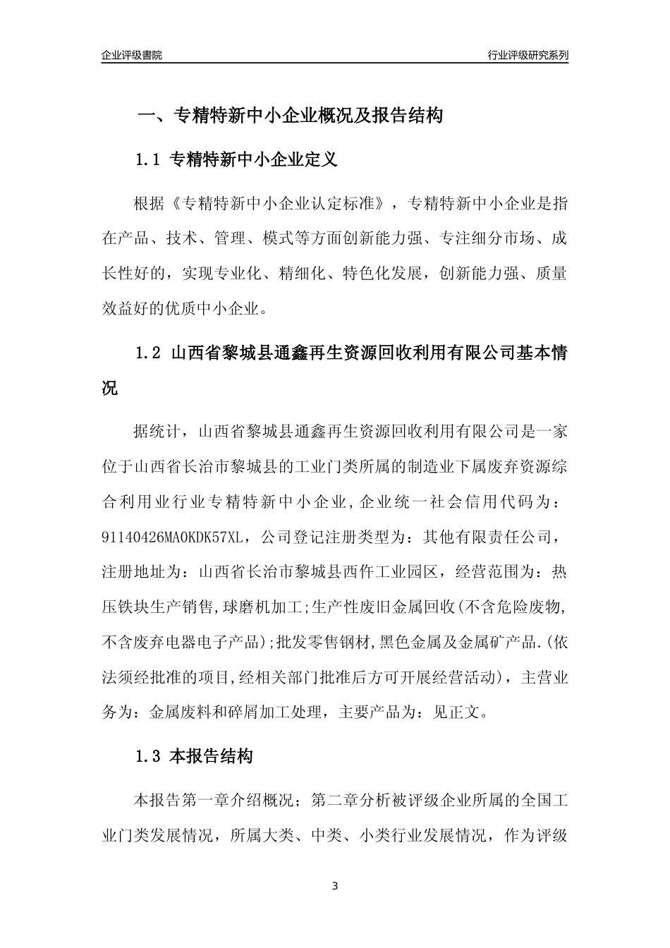 [专精特新]山西省黎城县通鑫再生资源回收利用有限公司行业竞争力评级分析报告(2023版)_第3页