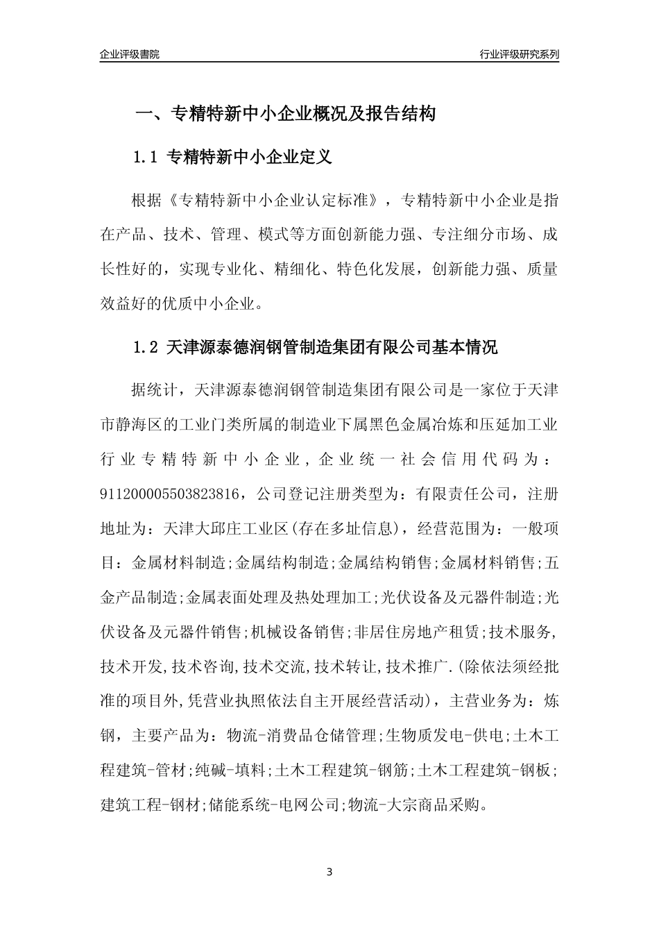 [专精特新]天津源泰德润钢管制造集团有限公司行业竞争力评级分析报告(2023版)_第3页