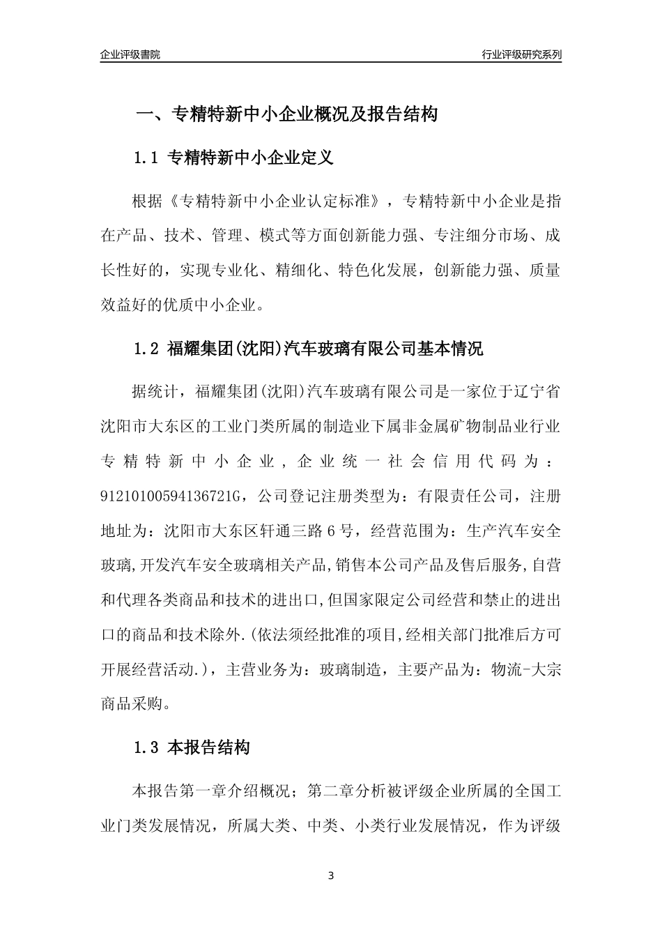 [专精特新]福耀集团(沈阳)汽车玻璃有限公司行业竞争力评级分析报告(2023版)_第3页