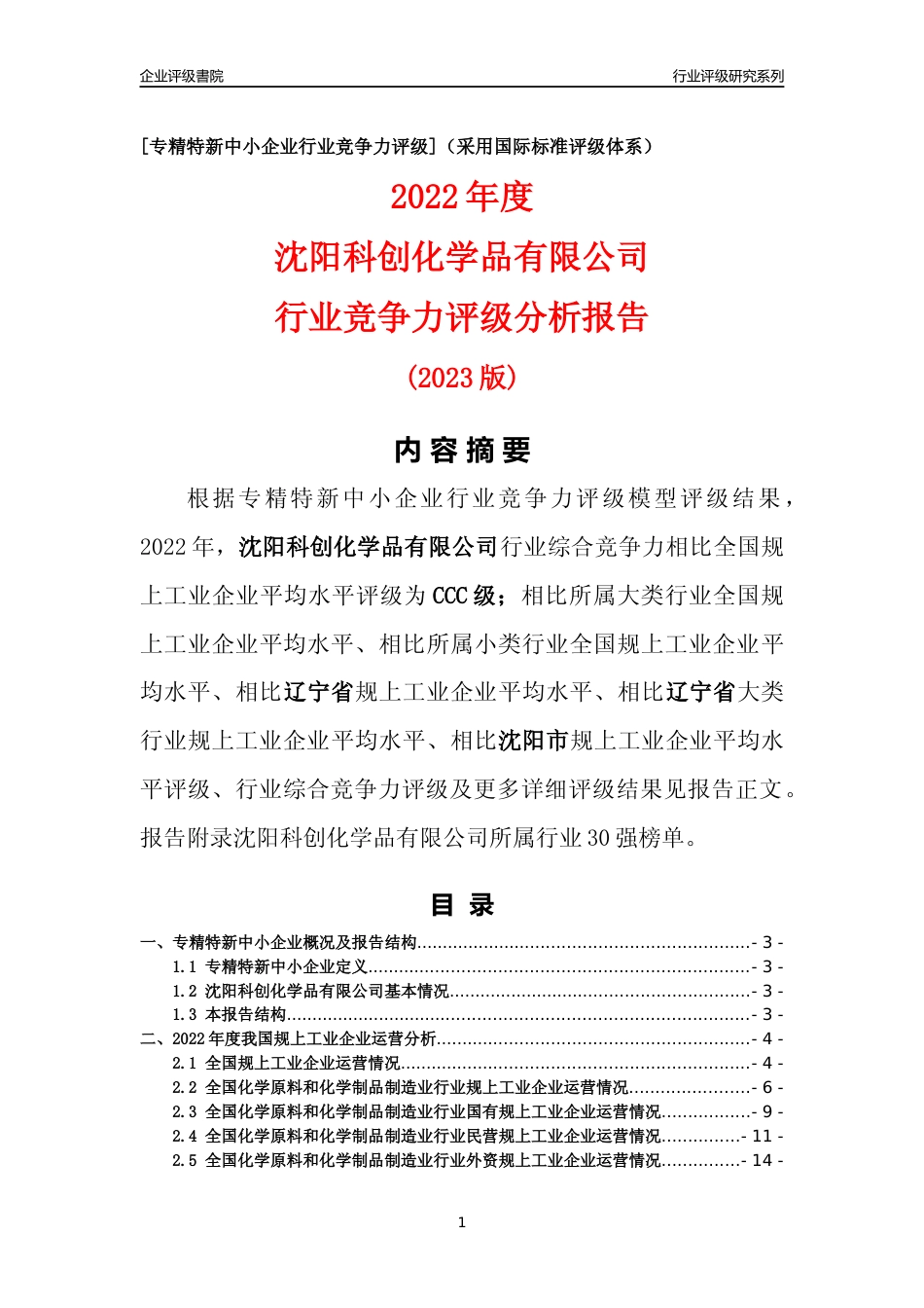[专精特新]沈阳科创化学品有限公司行业竞争力评级分析报告(2023版)_第1页