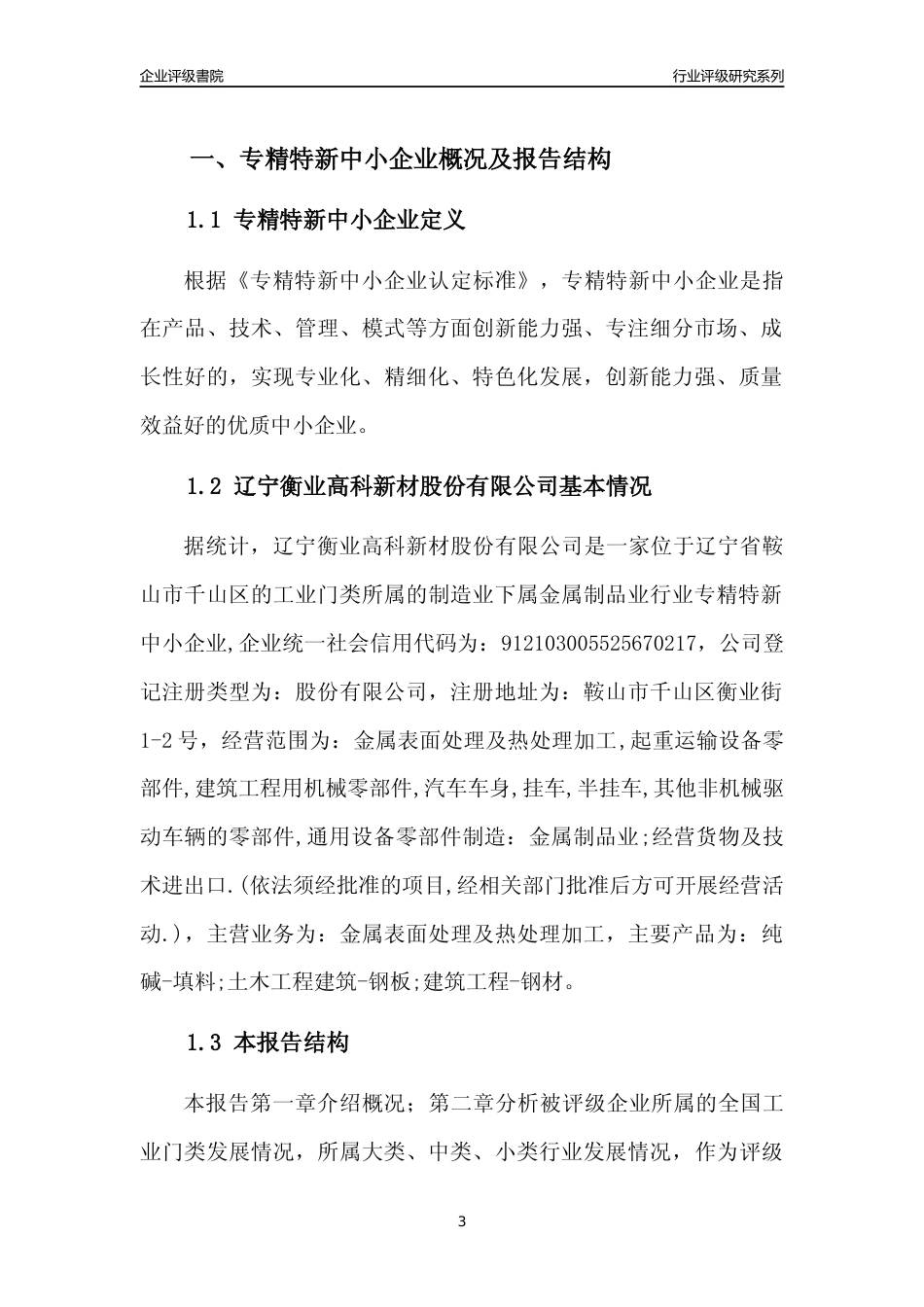 [专精特新]辽宁衡业高科新材股份有限公司行业竞争力评级分析报告(2023版)_第3页