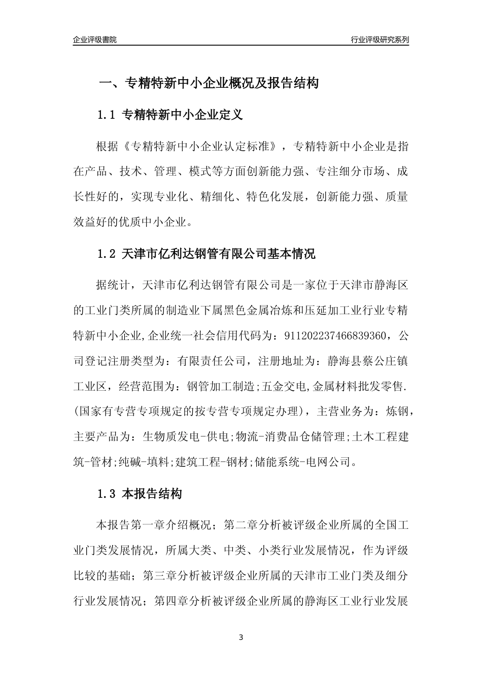 [专精特新]天津市亿利达钢管有限公司行业竞争力评级分析报告(2023版)_第3页