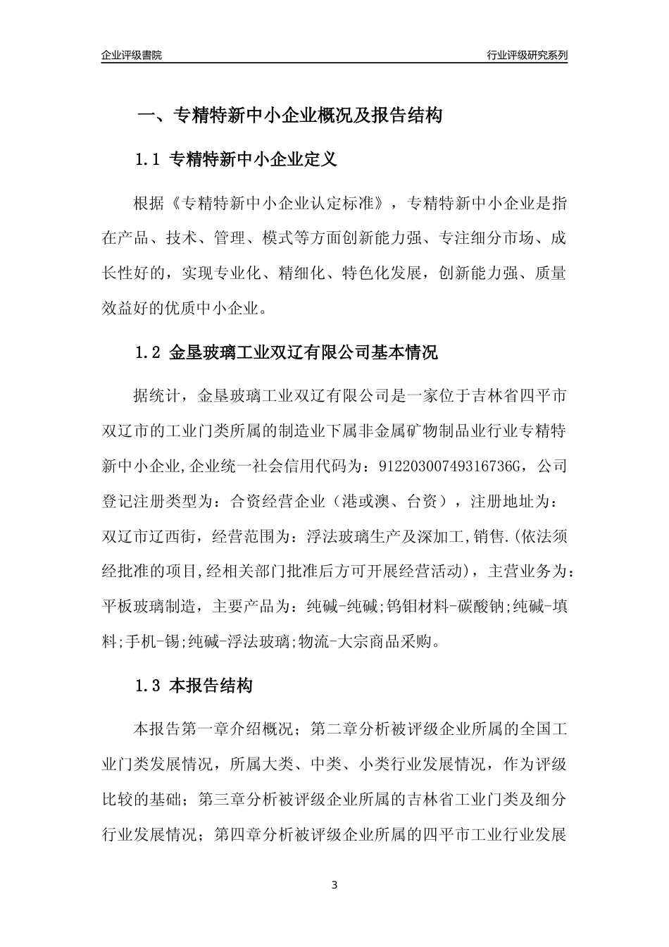 [专精特新]金垦玻璃工业双辽有限公司行业竞争力评级分析报告(2023版)_第3页
