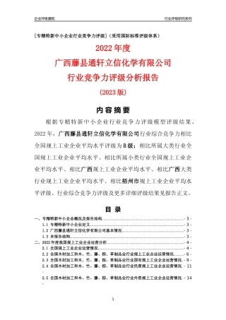 [专精特新]广西藤县通轩立信化学有限公司行业竞争力评级分析报告(2023版)