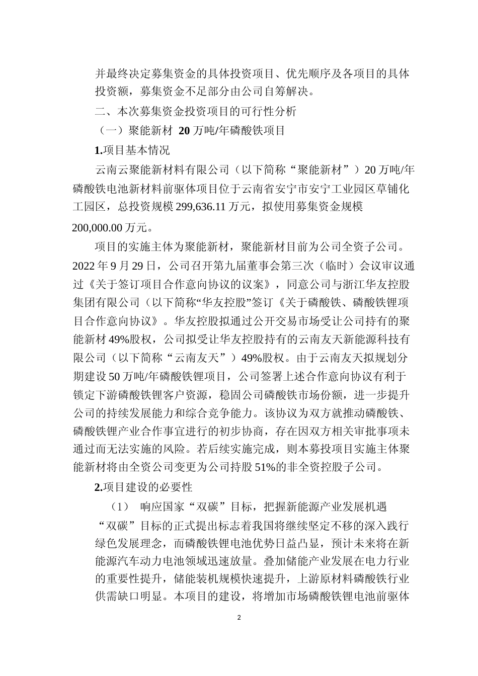 2022年20 万吨年磷酸铁项目可行性分析报告_第2页