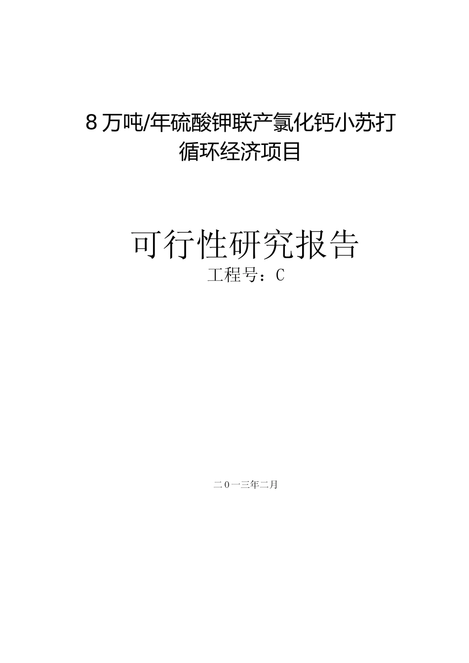 8万吨_年硫酸钾联产氯化钙小苏打循环经济项目可行性研究报告_第1页