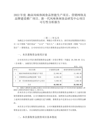 2022年度 湘卤风味休闲食品智能生产项目、营销网络及品牌建设推广项目、新一代风味休闲食品研发中心项目可行性分析报告