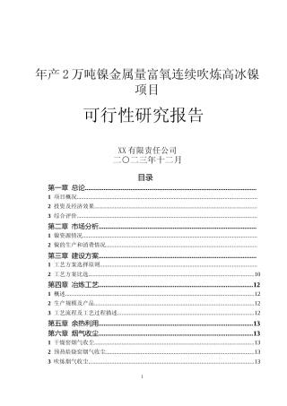 年产2万吨镍金属量富氧连续吹炼高冰镍项目可行性研究报告