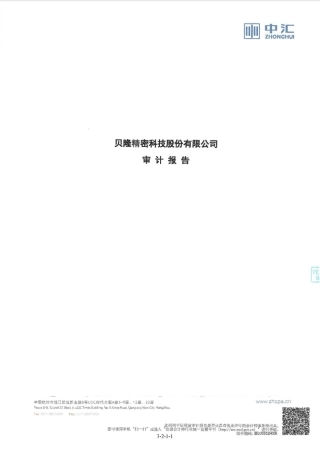 贝隆精密：首次公开发行股票并在创业板上市的财务报表及审计报告