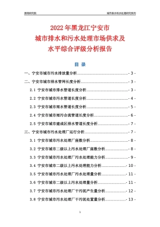 【排水和水处理】2022年黑龙江宁安市城市排水和污水处理市场供求及评级分析报告