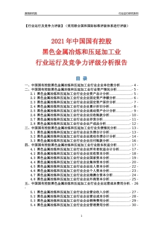 【行业评级年报】2021年中国国有控股黑色金属冶炼和压延加工业行业运行及竞争力评级分析报告（2023版）