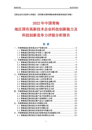 [高企年报]2022年青海国有高企科技创新能力及竞争力评级分析报告