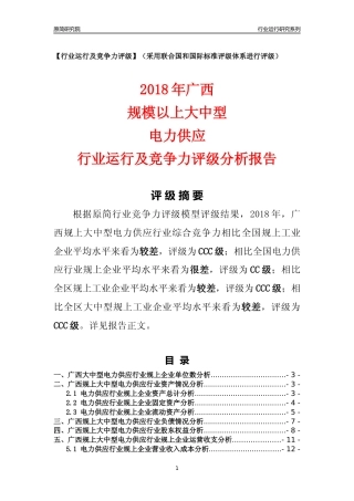 [行业年报]2018年广西规上大中型电力供应行业运行及竞争力评级分析报告