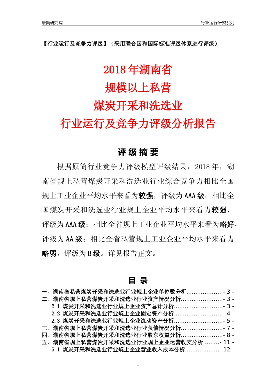 [行业年报]2018年湖南省规上私营煤炭开采和洗选业行业运行及竞争力评级分析报告_第1页