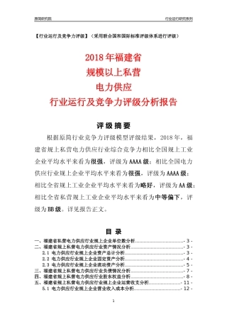 [行业年报]2018年福建省规上私营电力供应行业运行及竞争力评级分析报告