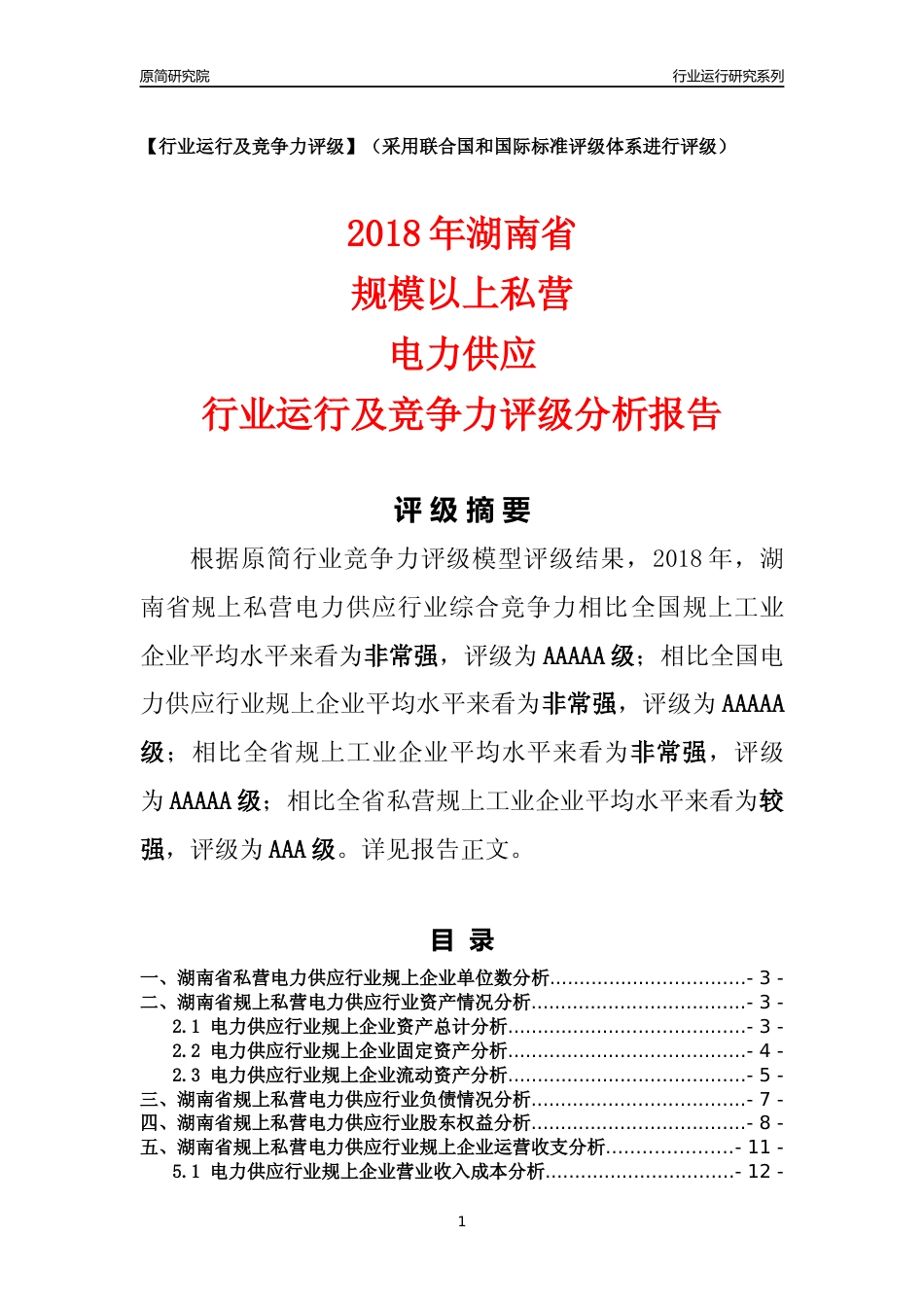[行业年报]2018年湖南省规上私营电力供应行业运行及竞争力评级分析报告_第1页