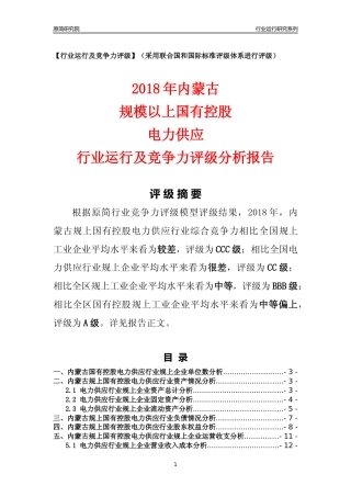 [行业年报]2018年内蒙古规上国有控股电力供应行业运行及竞争力评级分析报告