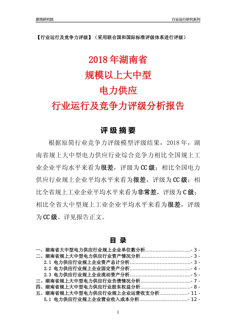 [行业年报]2018年湖南省规上大中型电力供应行业运行及竞争力评级分析报告_第1页