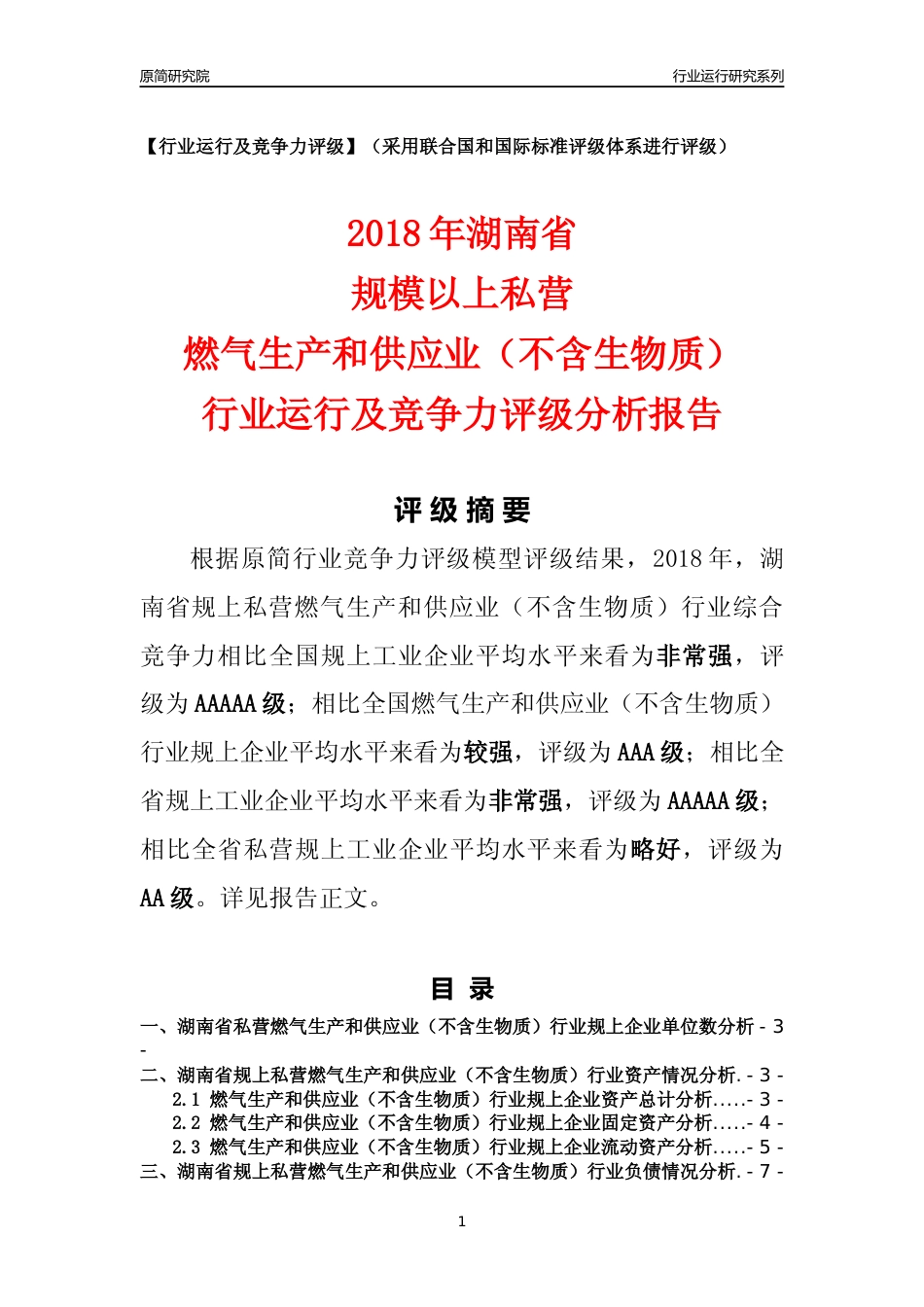 [行业年报]2018年湖南省规上私营燃气生产和供应业（不含生物质）行业运行及竞争力评级分析报告_第1页