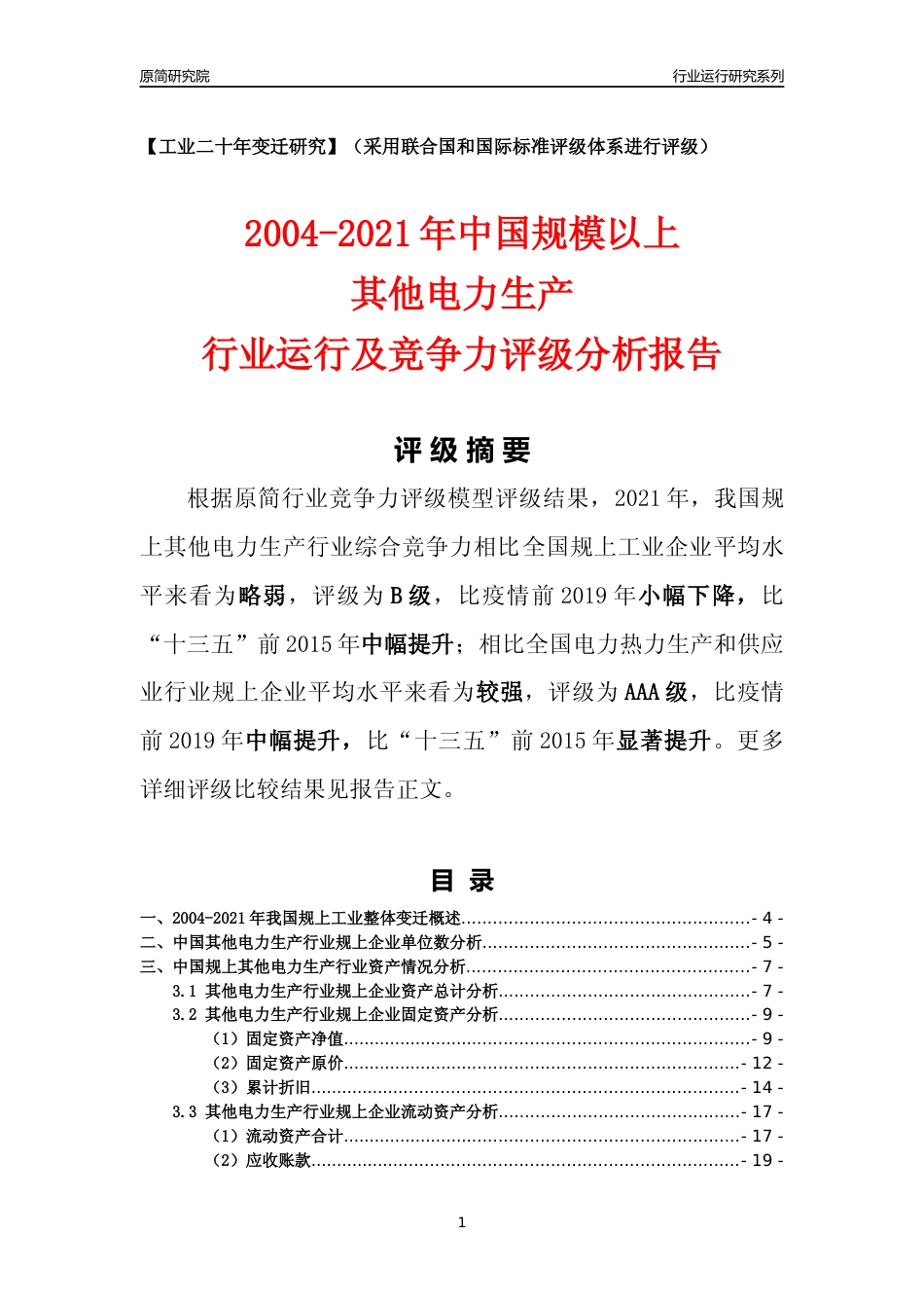 [工业变迁]2004-2021年中国规上其他电力生产行业运行及竞争力评级分析报告_第1页