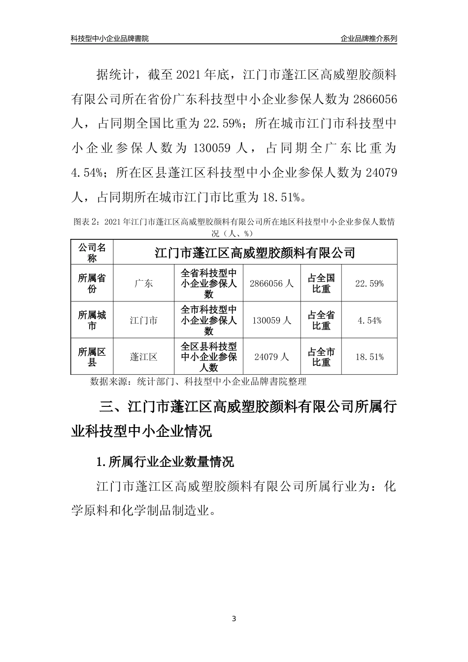 【科技型中小企业】江门市蓬江区高威塑胶颜料有限公司品牌推介及所在地区和行业企业发展情况分析报告（2021年）_第3页