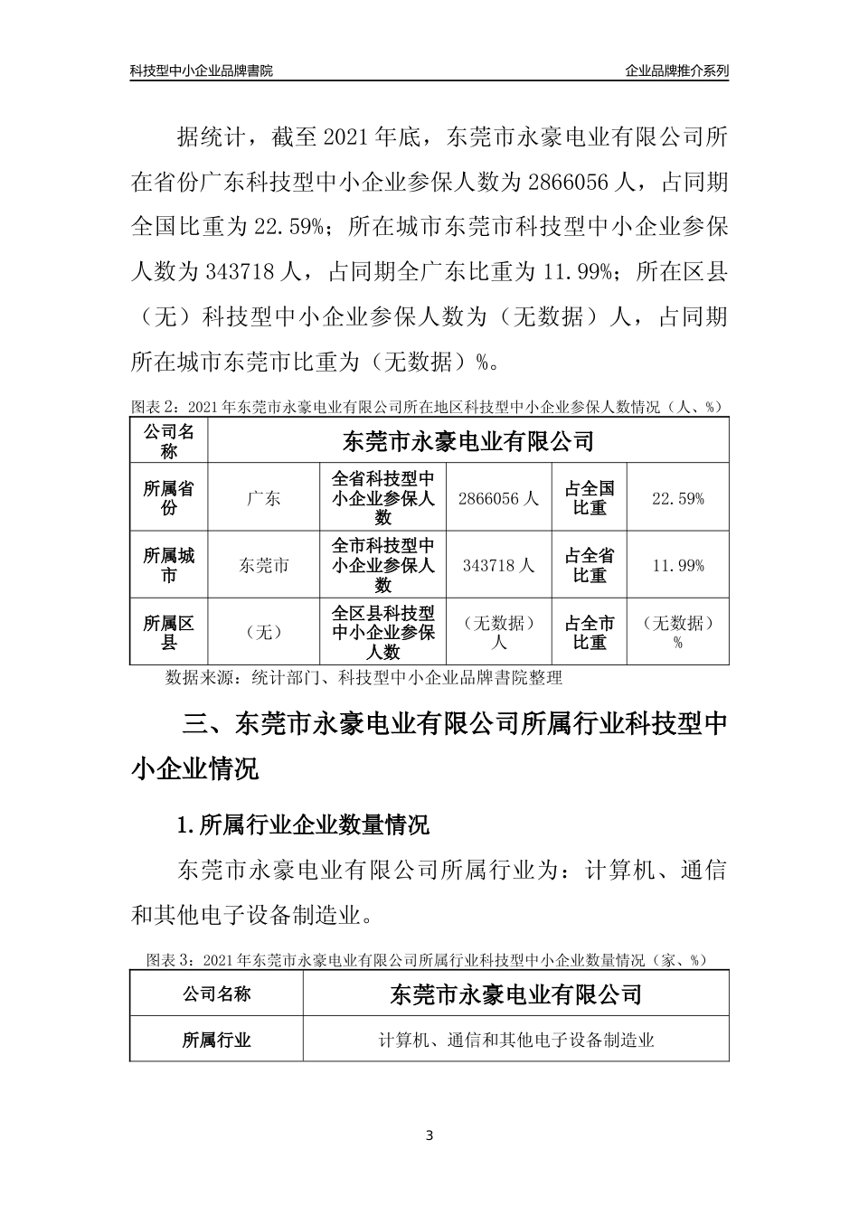 【科技型中小企业】东莞市永豪电业有限公司品牌推介及所在地区和行业企业发展情况分析报告（2021年）_第3页