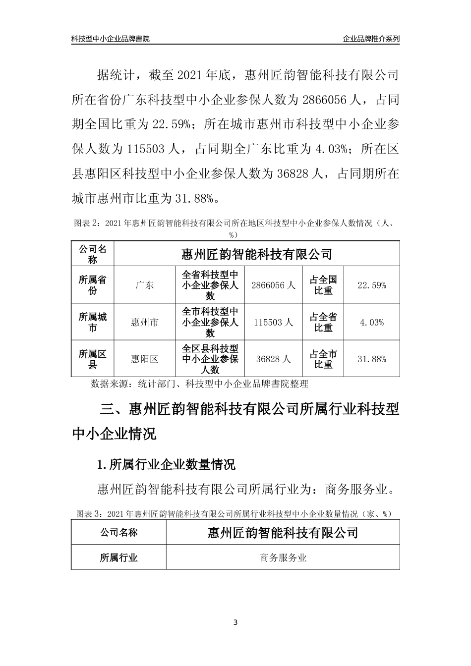【科技型中小企业】惠州匠韵智能科技有限公司品牌推介及所在地区和行业企业发展情况分析报告（2021年）_第3页