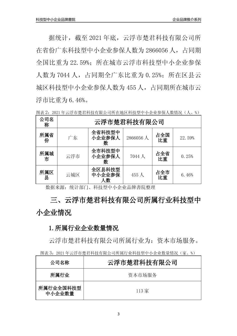 【科技型中小企业】云浮市楚君科技有限公司品牌推介及所在地区和行业企业发展情况分析报告（2021年）_第3页