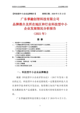 【科技型中小企业】广东掌融创智科技有限公司品牌推介及所在地区和行业企业发展情况分析报告（2021年）