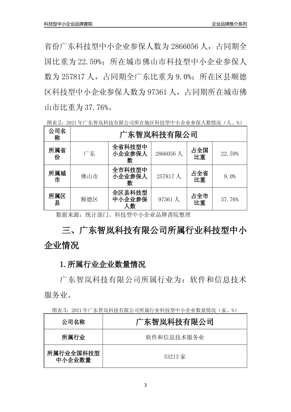 【科技型中小企业】广东智岚科技有限公司品牌推介及所在地区和行业企业发展情况分析报告（2021年）_第3页
