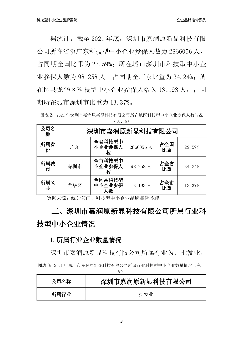 【科技型中小企业】深圳市嘉润原新显科技有限公司品牌推介及所在地区和行业企业发展情况分析报告（2021年）_第3页