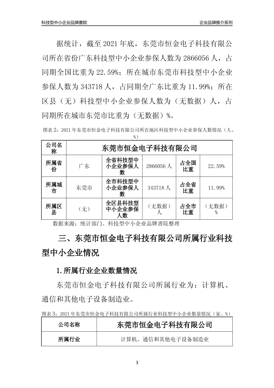 【科技型中小企业】东莞市恒金电子科技有限公司品牌推介及所在地区和行业企业发展情况分析报告（2021年）_第3页