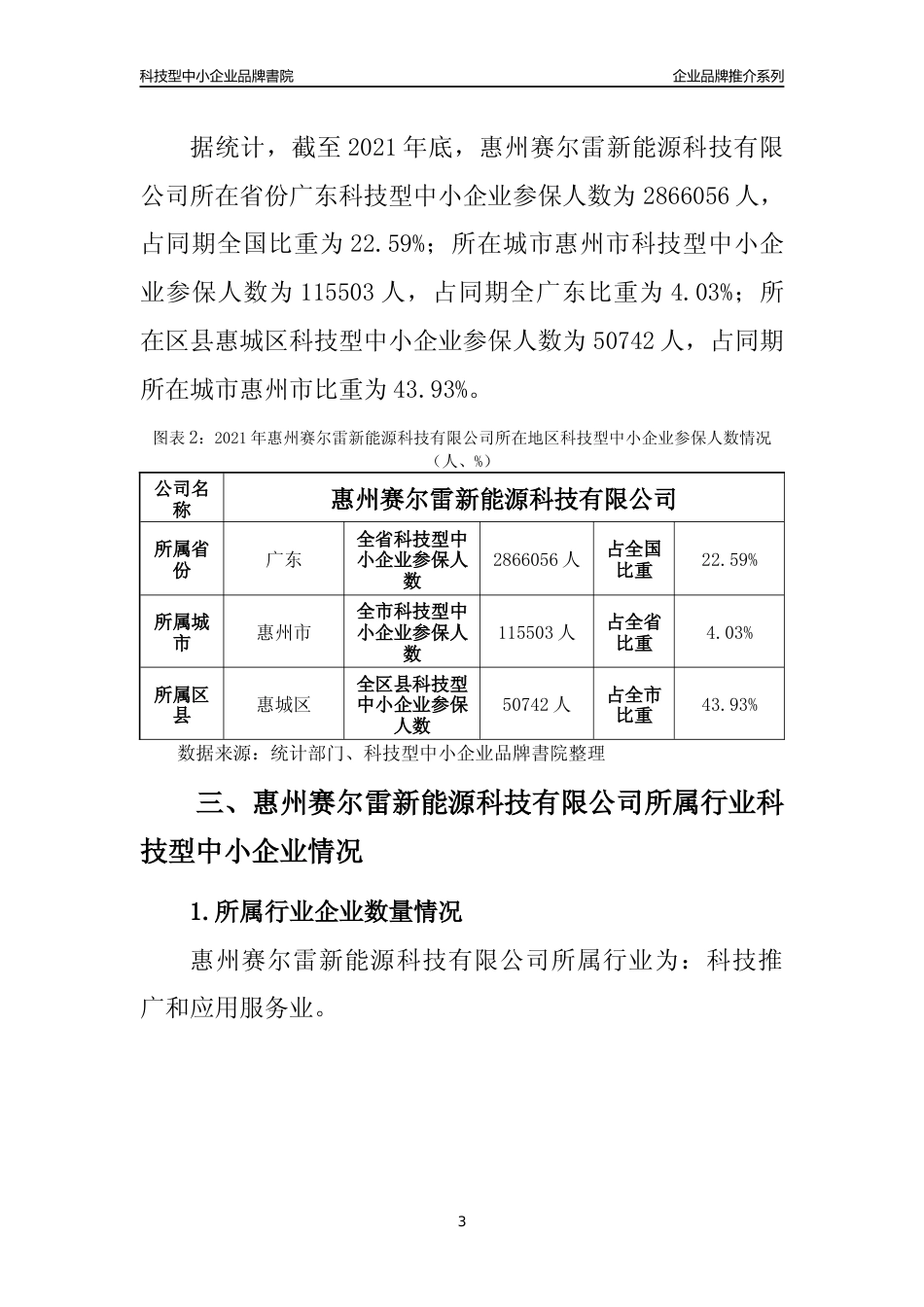 【中小企业】惠州赛尔雷新能源科技有限公司品牌推介及所在地区和行业企业发展情况分析报告（2021年）_第3页