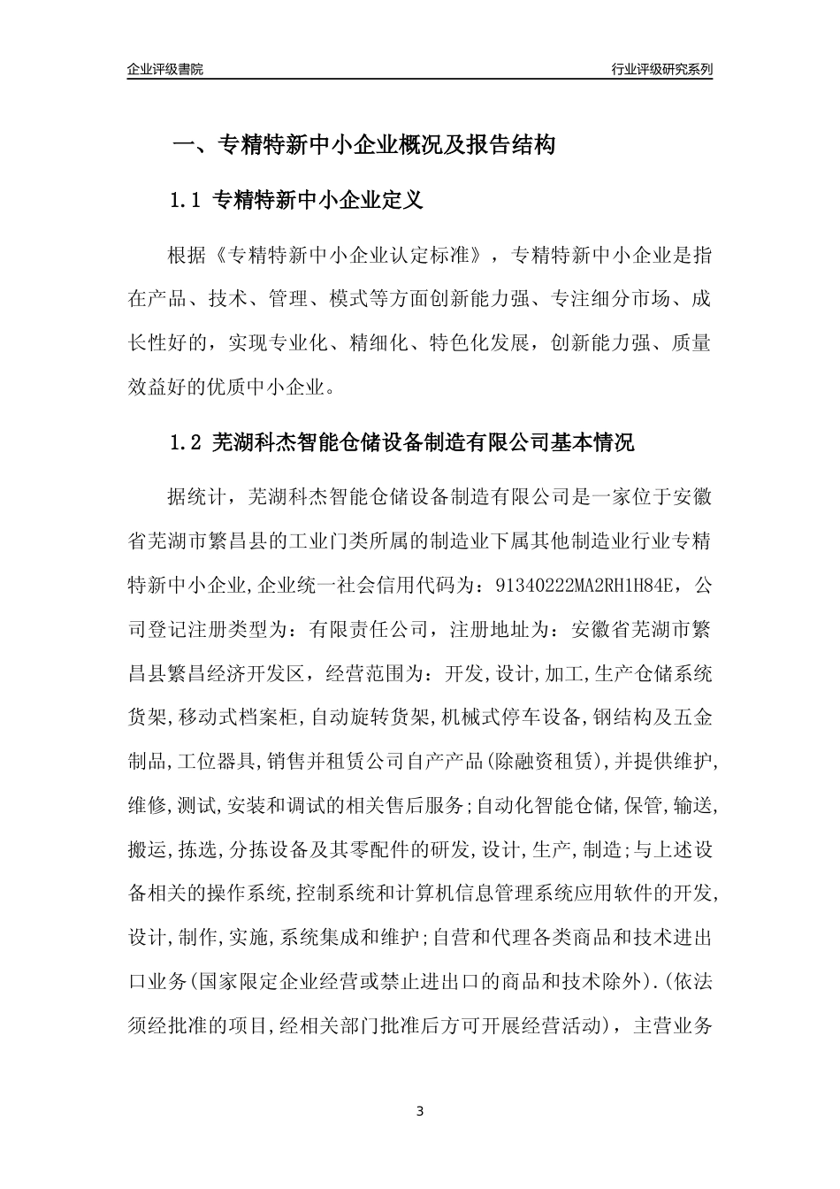 [专精特新]2022年芜湖科杰智能仓储设备制造有限公司行业竞争力评级分析报告(2023版)_第3页