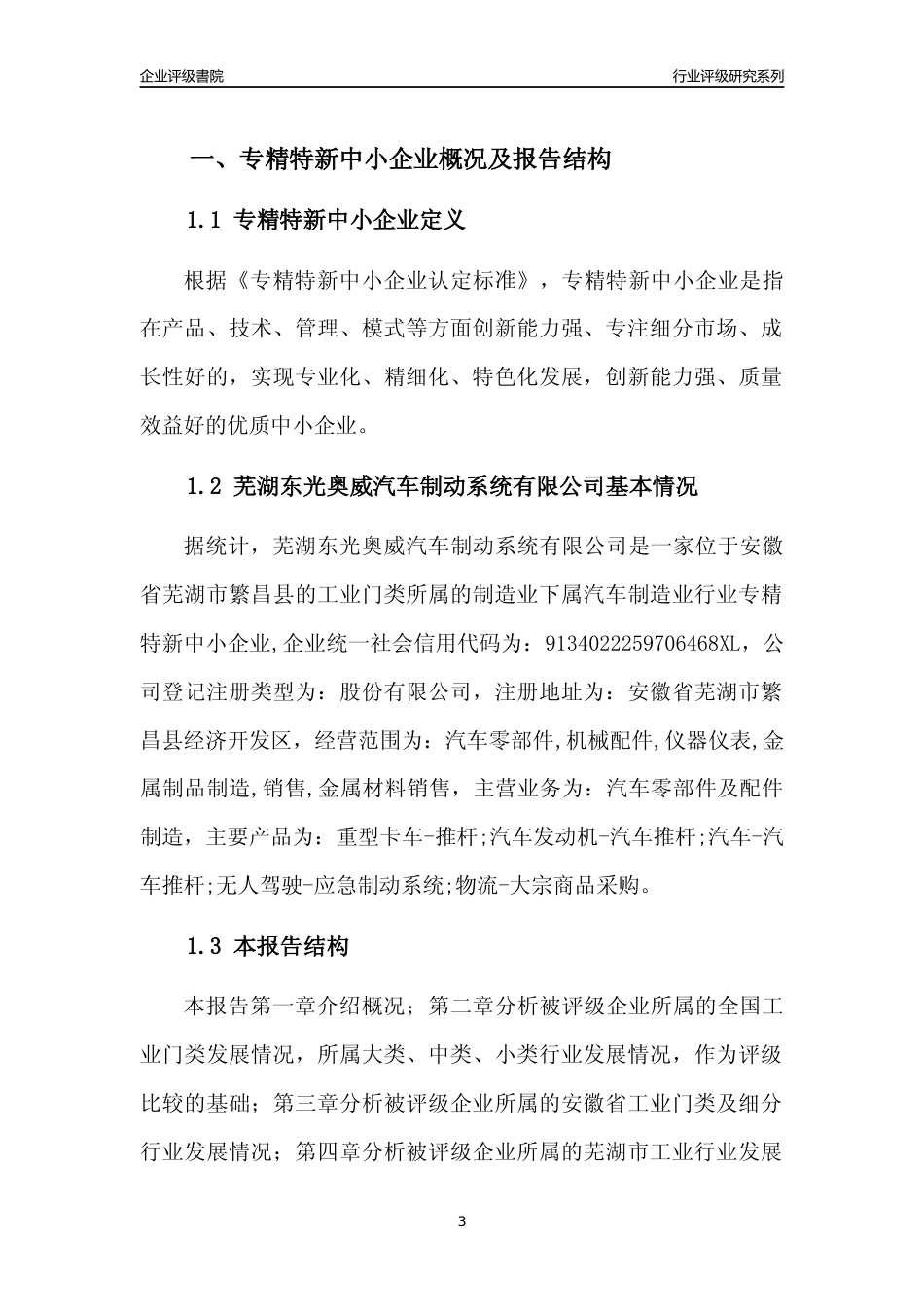 [专精特新]2022年芜湖东光奥威汽车制动系统有限公司行业竞争力评级分析报告(2023版)_第3页