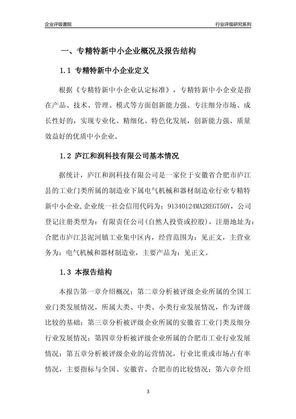 [专精特新]2022年庐江和润科技有限公司行业竞争力评级分析报告(2023版)_第3页