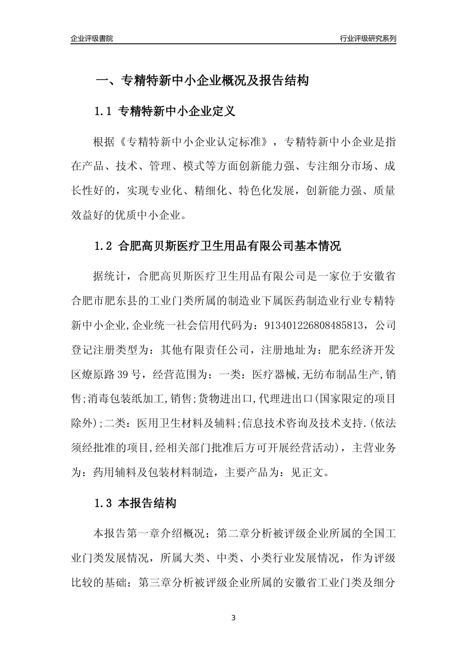 [专精特新]2022年合肥高贝斯医疗卫生用品有限公司行业竞争力评级分析报告(2023版)_第3页
