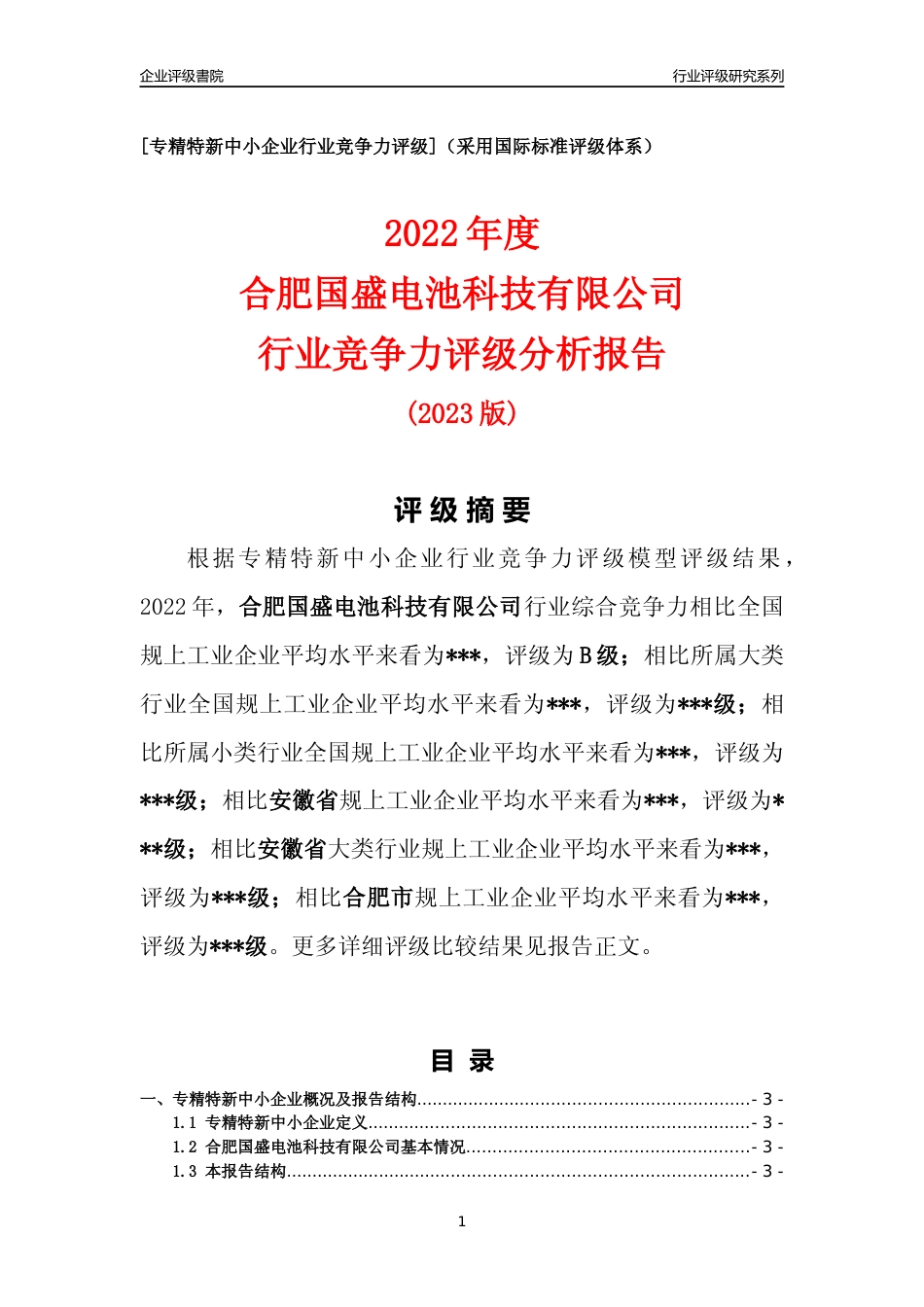 [专精特新]2022年合肥国盛电池科技有限公司行业竞争力评级分析报告(2023版)_第1页