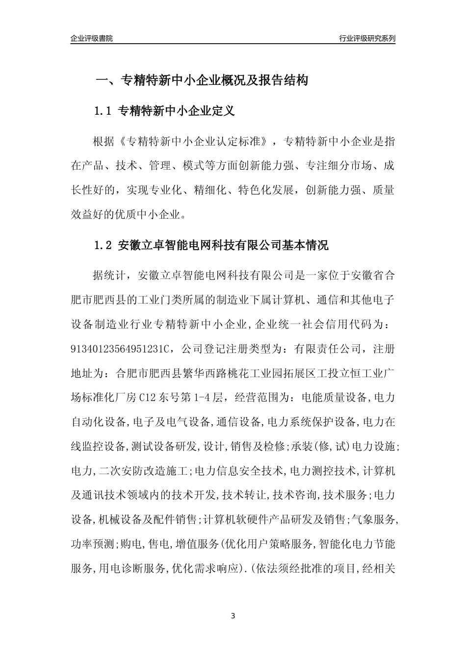 [专精特新]2022年安徽立卓智能电网科技有限公司行业竞争力评级分析报告(2023版)_第3页