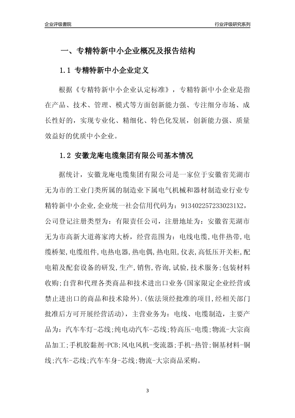 [专精特新]2022年安徽龙庵电缆集团有限公司行业竞争力评级分析报告(2023版)_第3页