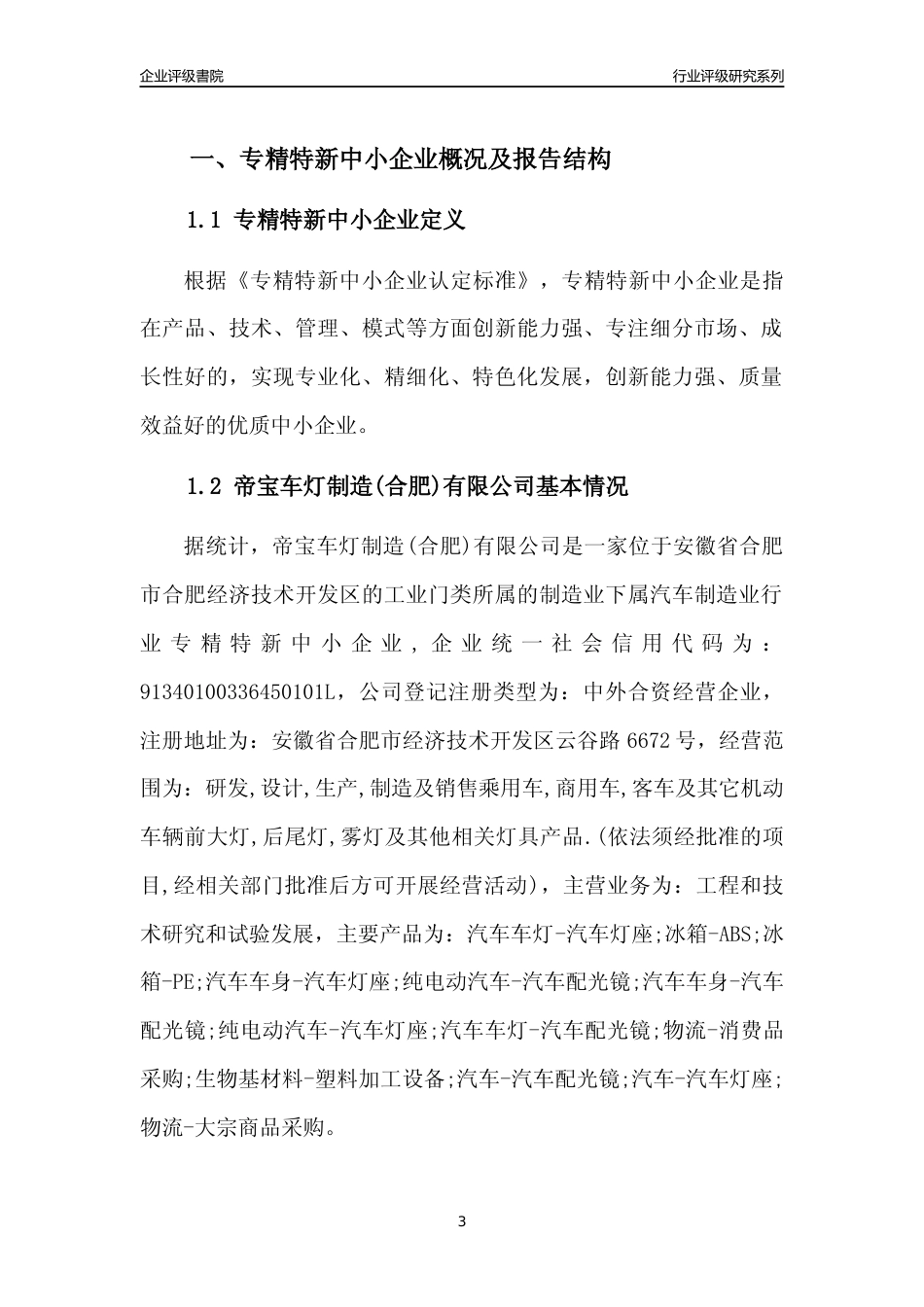 [专精特新]2022年帝宝车灯制造(合肥)有限公司行业竞争力评级分析报告(2023版)_第3页
