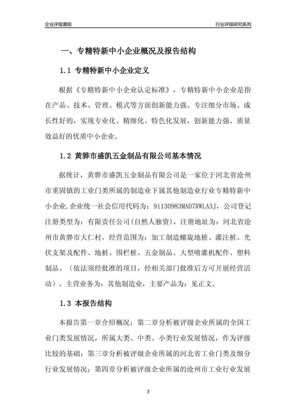 [专精特新]2022年黄骅市盛凯五金制品有限公司行业竞争力评级分析报告(2023版)_第3页