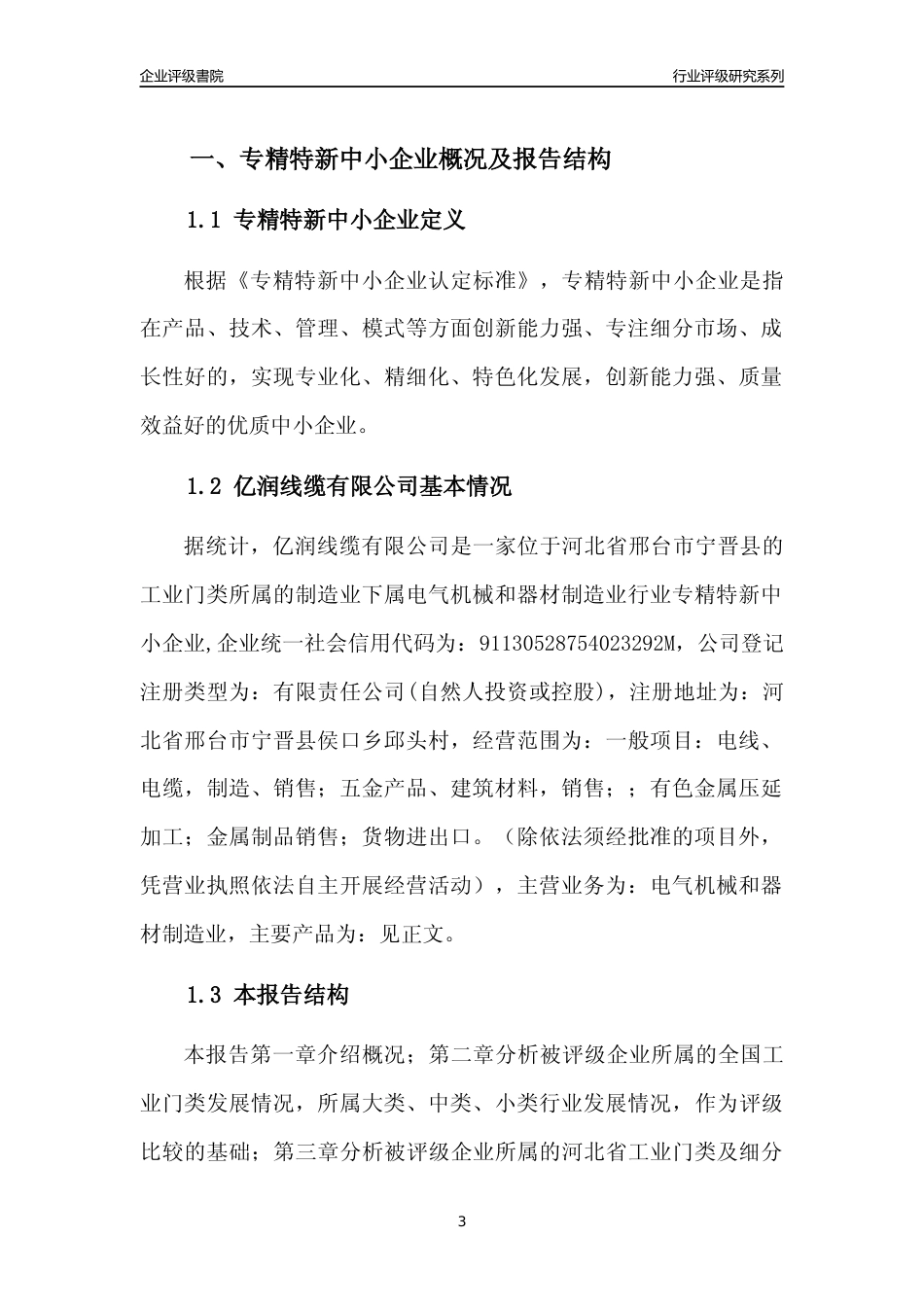 [专精特新]2022年亿润线缆有限公司行业竞争力评级分析报告(2023版)_第3页